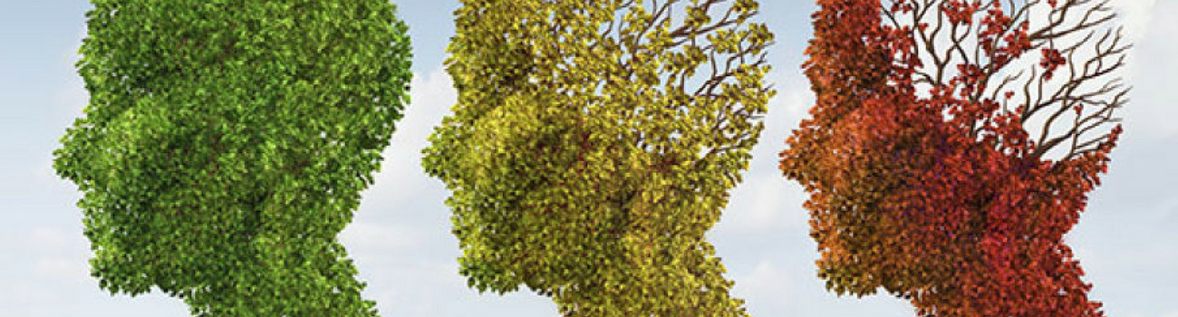 SuperAger brains shrink more slowly than peers’ brains , a new path-breaking study shows