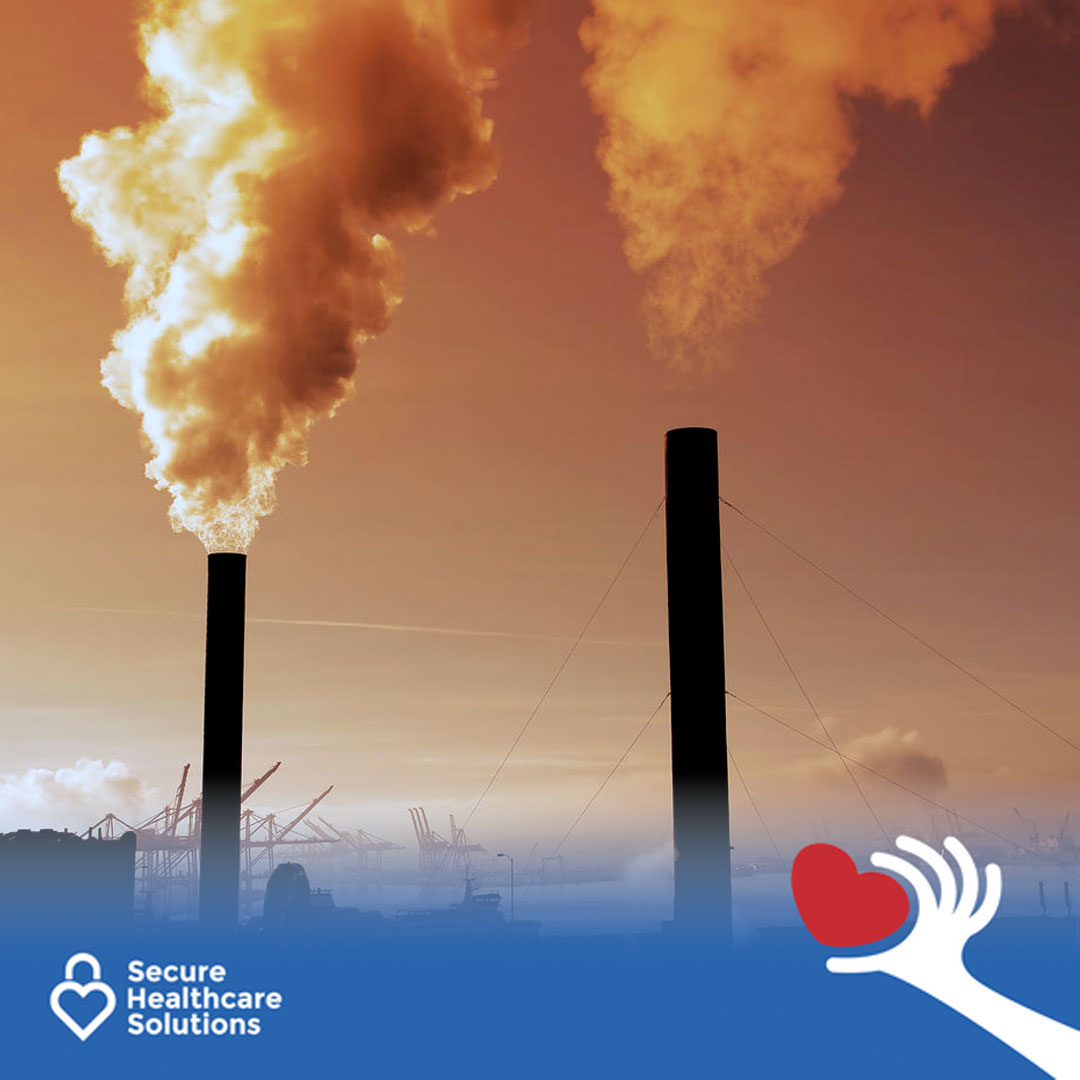 What does exposure to pollution do to our bodies?