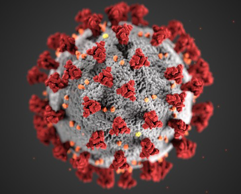 COVID 19 Vaccine Summary within the healthcare environment